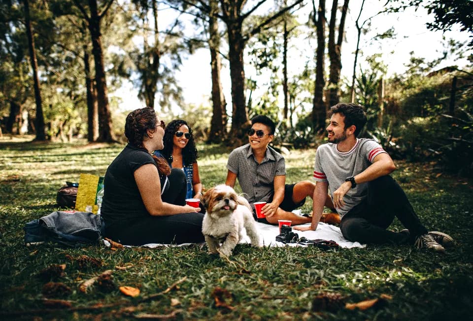 A group of friends sitting on the grass with a dog on a summer afternoon